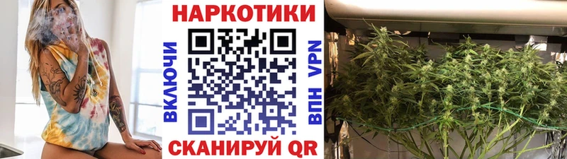 Названия наркотиков Приозерск Конопля  Амфетамин  ОМГ ОМГ зеркало  APVP  ГАШ  Мефедрон  Cocaine 