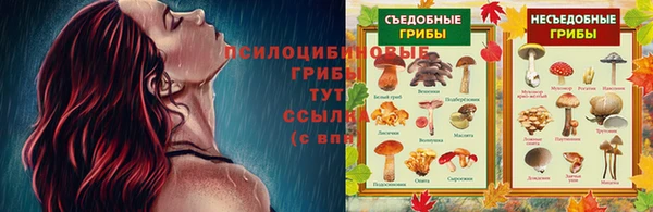 синтетический гашиш Балахна